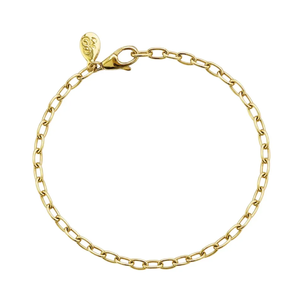 Juwelier Ripassa Paperclip armband geelgoud
